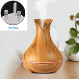 Aromatherapy Mist Maker